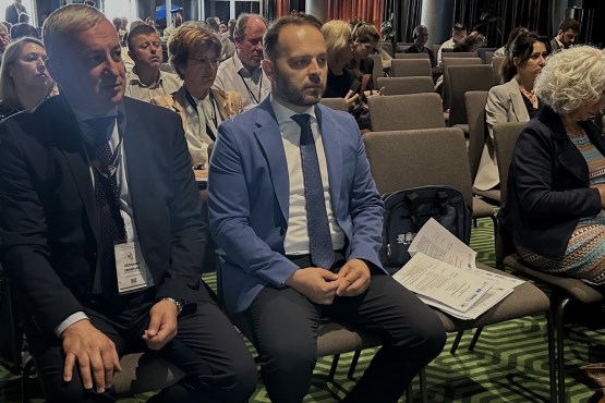Poslanici u Predstavničkom domu PSBiH Albin Muslić i Branislav Borenović učestvovali u posmatračkim misijama PSOSCE-a i PSVE za parlamentarne izbore u Republici Albaniji
